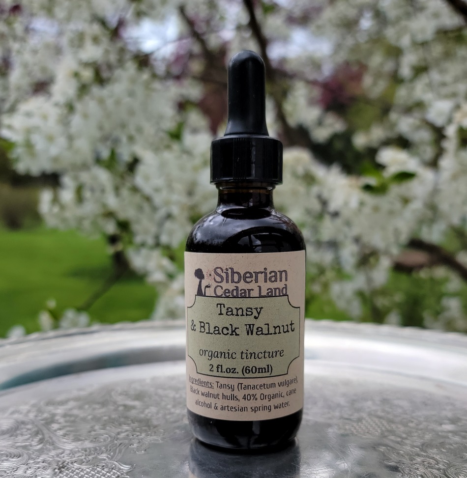 Tansy & Black Walnut tincture. Organic. Anti-parasitic.